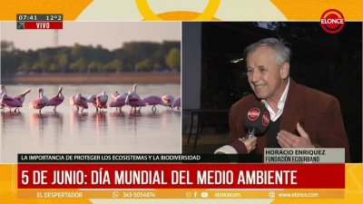 D&iacute;a Mundial del Ambiente: reflexiones del fundador de Eco Urbano en Paran&aacute;